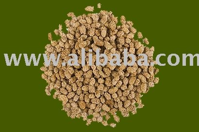 Dried Mulberry