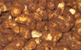 Cinnamon Flavored Cashew