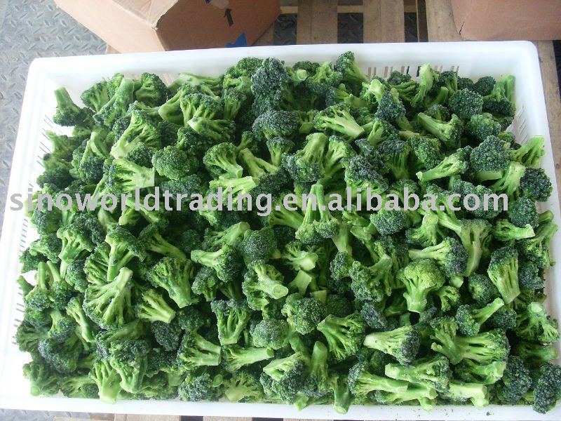 IQF frozen broccli