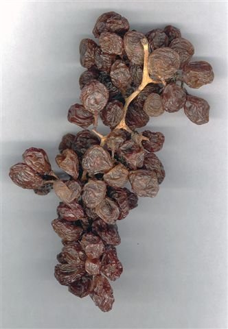 Cluster Raisins (bunches)  seedless  and with  seed s