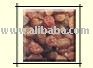 Sultana Raisin