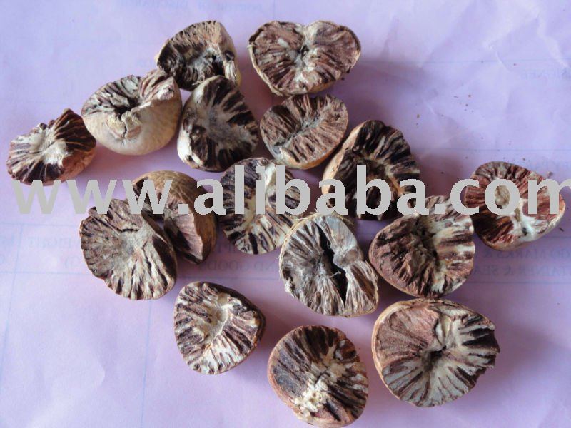 Betel Nut Split