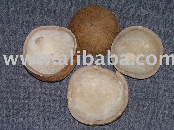  White   Copra 