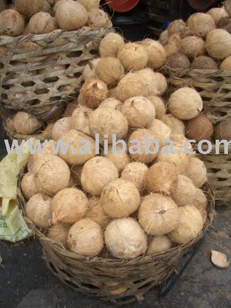coconut copra
