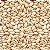 sesame seeds,peanuts, cashewnuts, beans, ginger, galic, carrot, green beans