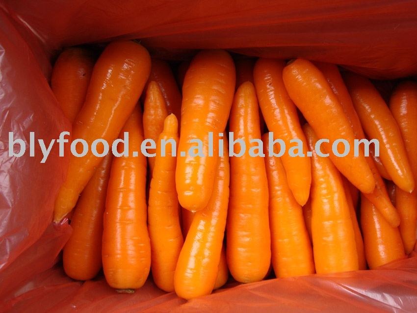Sell Carrot