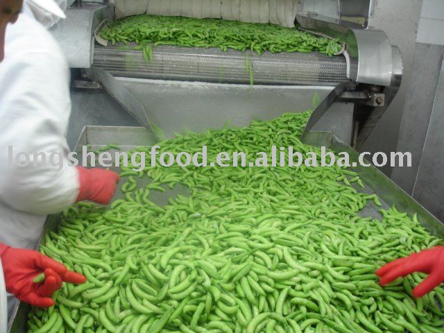 Frozen Vegetable