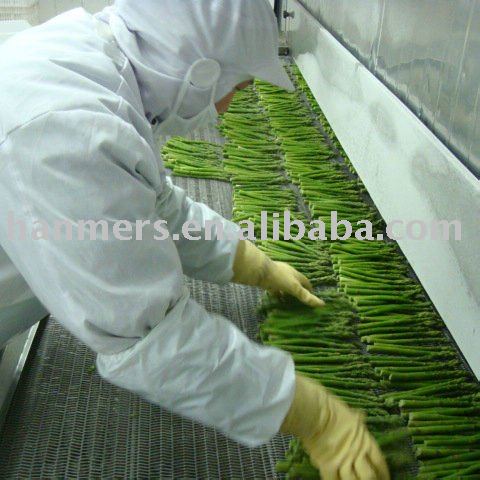 iqf frozen green white asparagus