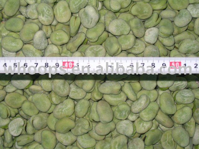  IQF   frozen   Broad   Beans 
