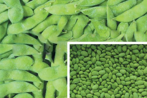 IQF  edamame   soy   beans 
