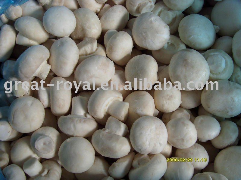 Frozen champignon mushroom,Hong Kong Great-royal price supplier - 21food