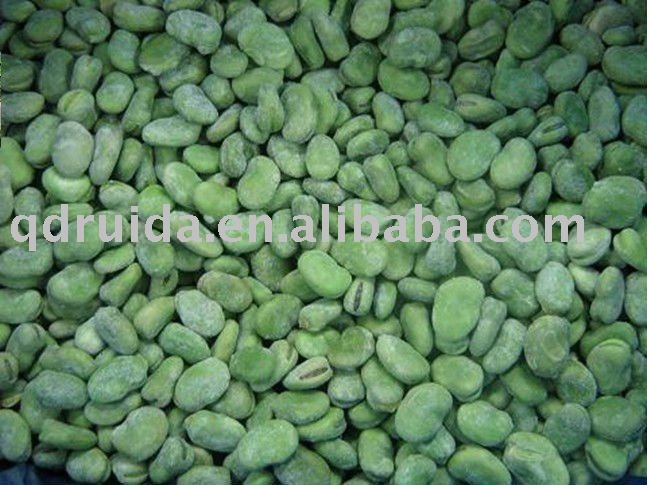  frozen   fava  bean