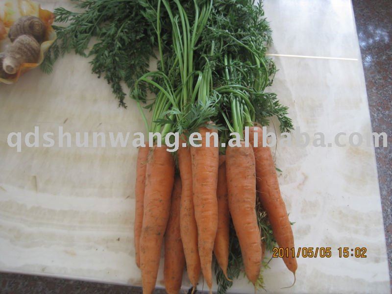 Top A chinese fresh carrot 150g