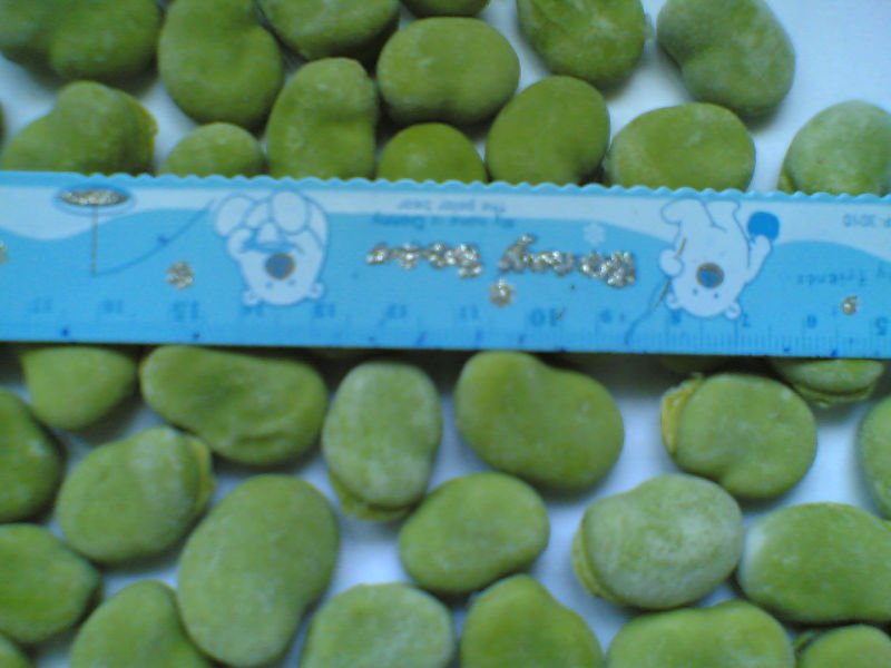 export  broad beans