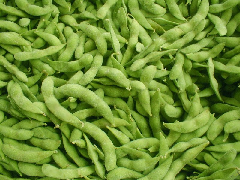  dry   soybean s