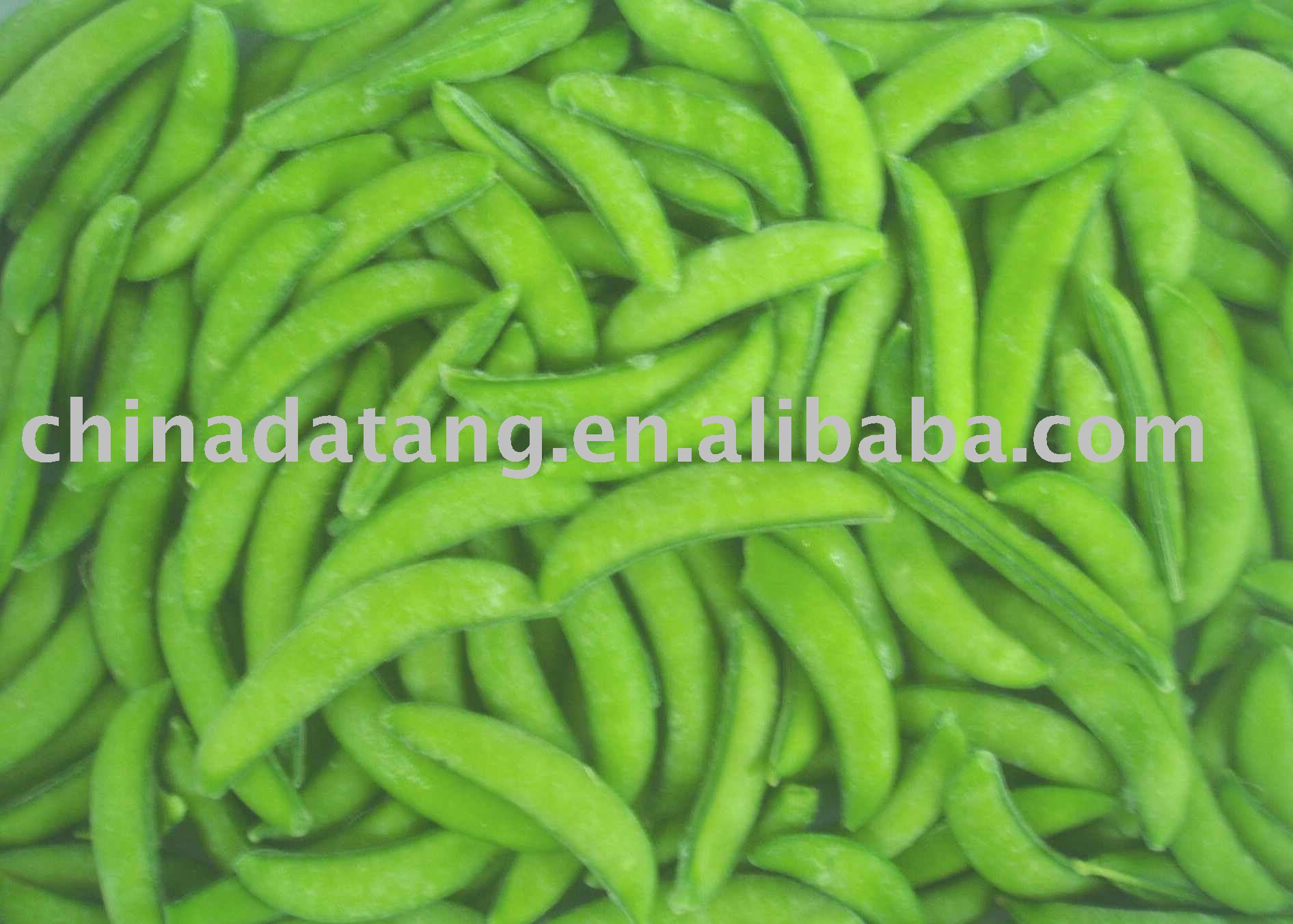 frozen sugar snap peas HOT SELL!!