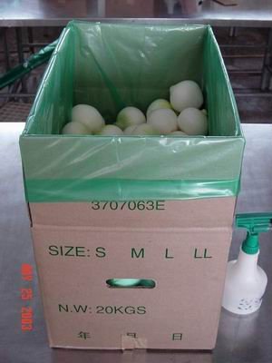 Food,frozen food,vegetable,frozen vegetable,fruit,frozen fruit,onion,frozen onion,