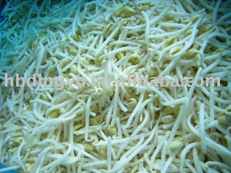  Frozen   Soya   Beans  Sprouts