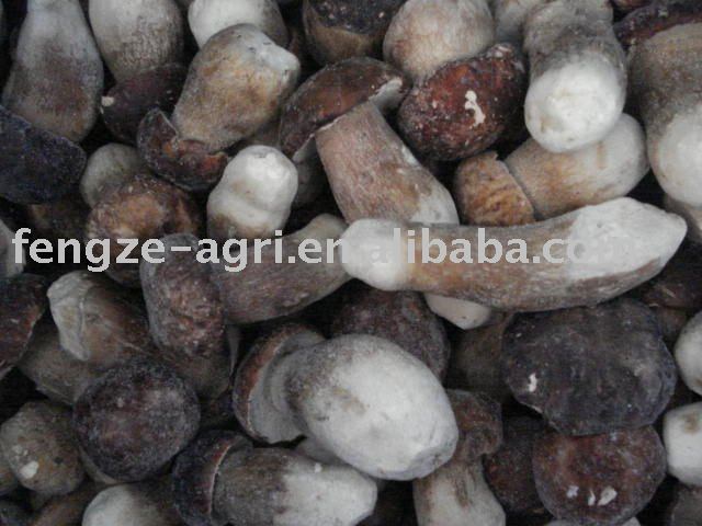 2011  IQF   Porcini  Mushroom