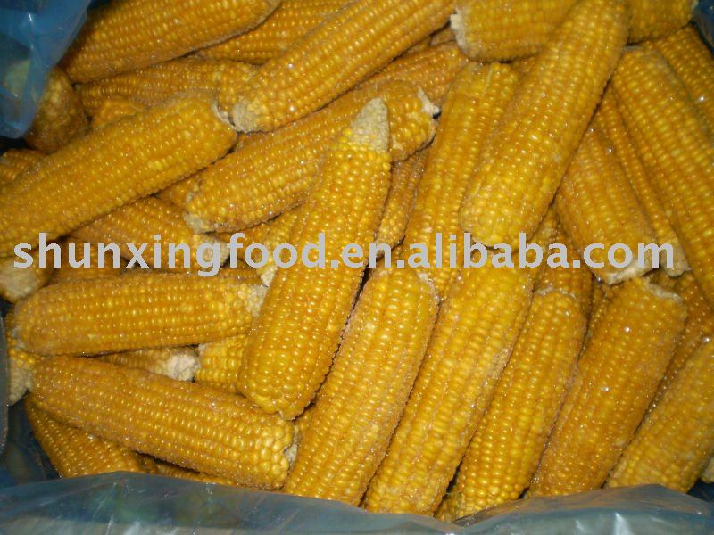  frozen   corn  on the  cob 