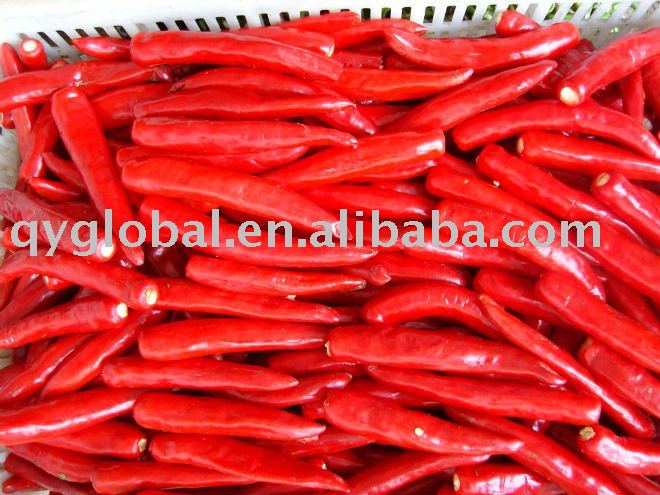 IQF Red  Chilli ( jinta ) with High Quality