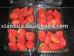 Canned  strawberry in light syrup