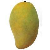  Fresh  Philippine  mango 