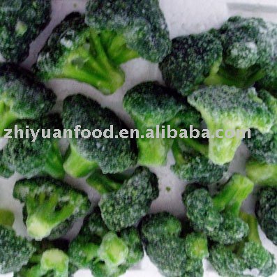 Frozen Broccoli (IQF,frozen vegetable,20-40mm,30-50mm,40-60mm)