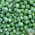 frozen pea