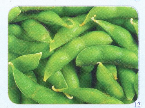  IQF   Green   Soy   Bean  677