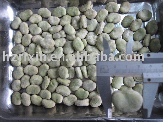 IQF Broad Bean Kernel