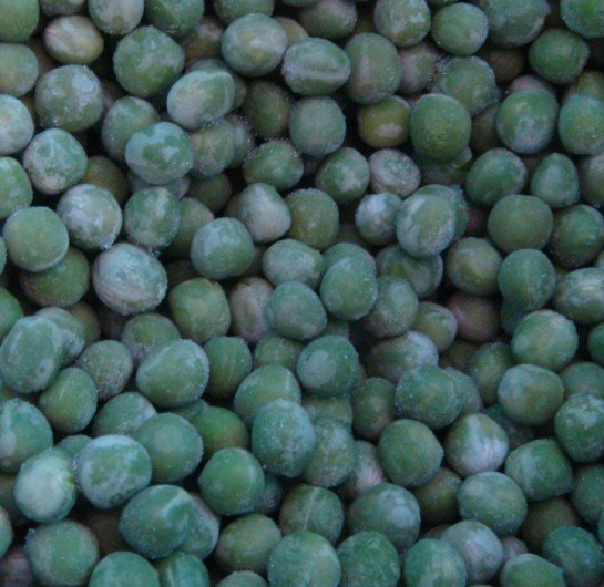  IQF   edamame   shelled 