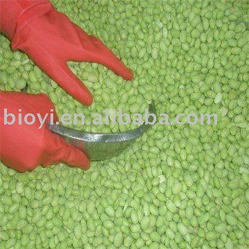 Frozen Food-Soybean kernels