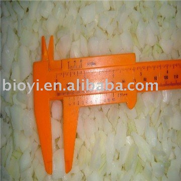 Frozen Food--Onion Dices