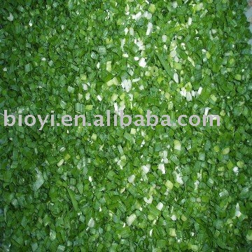 Organic frozen scallion cut