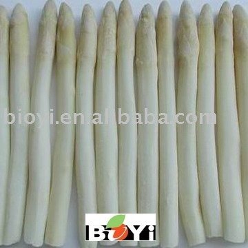 Frozen White Asparagus