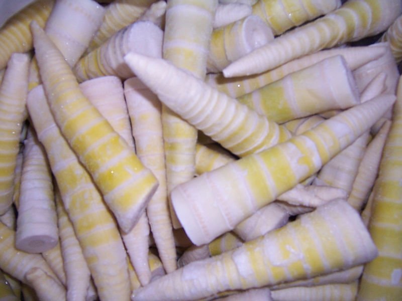 IQF Spring Bamboo Shoots products,China IQF Spring Bamboo Shoots supplier