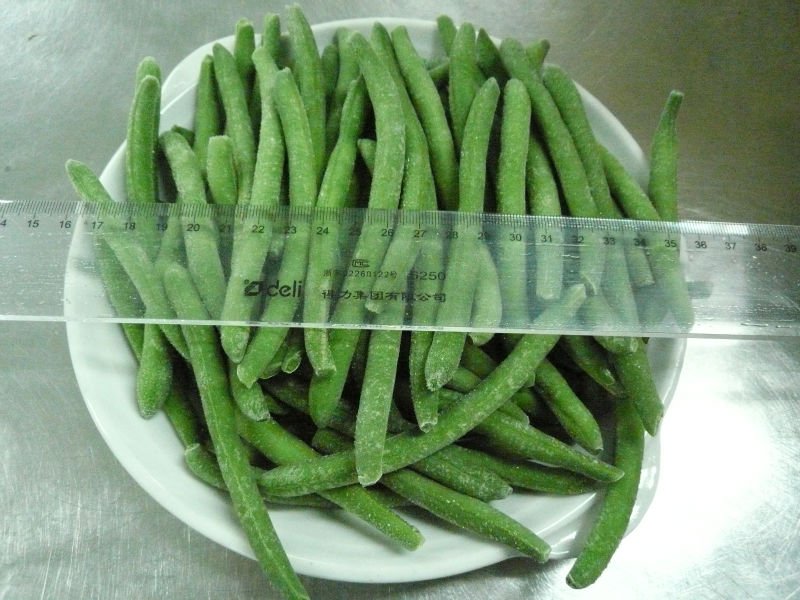 Frozen Green Bean China Oem Price Supplier 21food