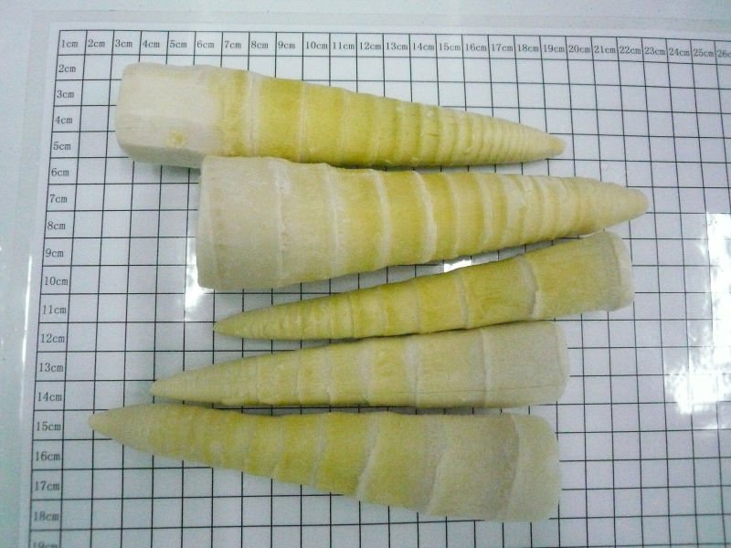 Frozen Spring Bamboo Shoots,China OEM price supplier - 21food