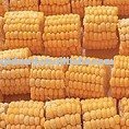  frozen   corn   cob 