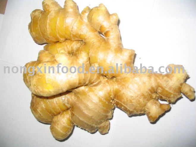 old crop chinese fresh ginger