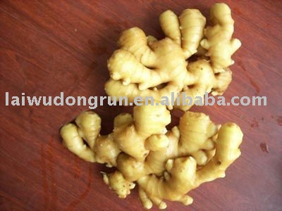 laiwu ginger