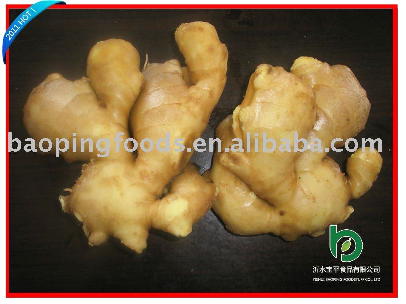 fresh ginger in carton