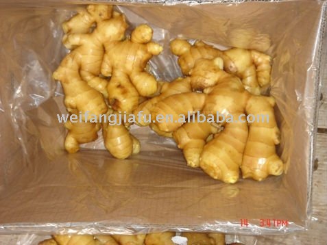  Wet   Fresh   Ginger  200G up