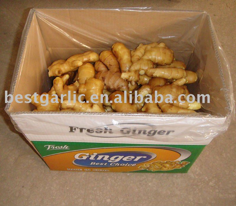 Fresh  Ginger  in  10kg   Carton 