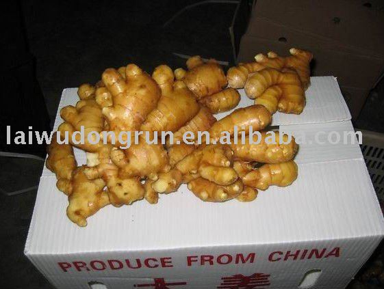 2010 season fresh ginger