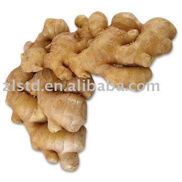 ginger 250g and up, chinese organic ginger