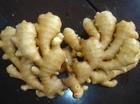 Fresh Ginger in 10kg Carton inGood Qailty