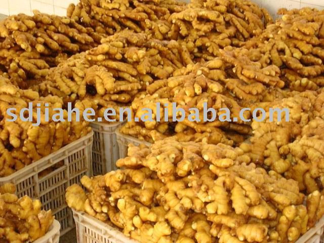 fresh chinese ginger