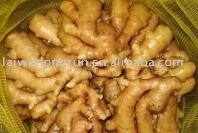 laiwu fresh ginger